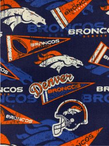 861 Broncos