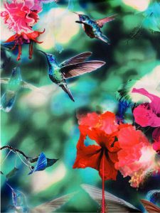 887 hummingbirds
