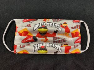 ia state
