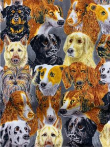 956 dogs