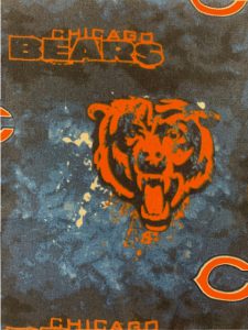 991 Bears